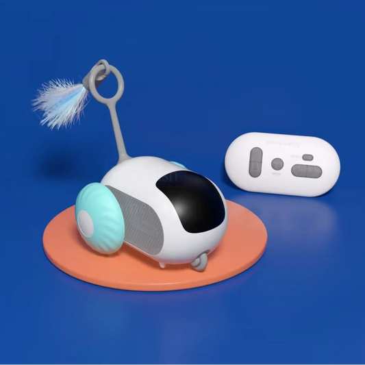 Interactive Pet Toy Car